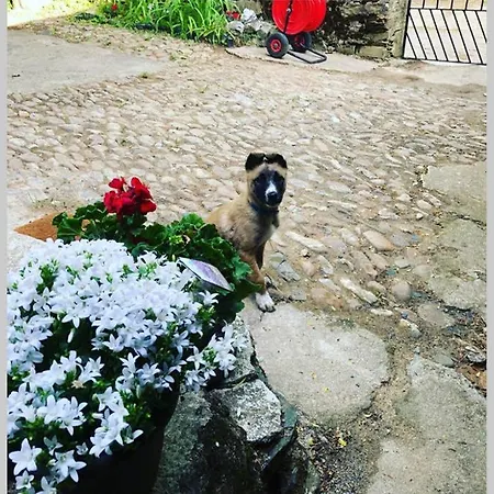 Chalet Casa La Biera La Velilla (Leon)