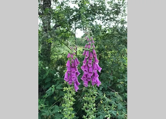 Casa La Biera 샬레