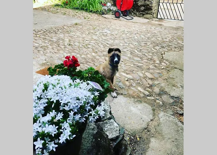 샬레 Casa La Biera La Velilla (Leon)